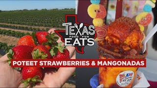 Texas Eats Poteet Strawberries Mangonadas and a Sweet Onion Bacon Dip Recipe [upl. by Loris407]