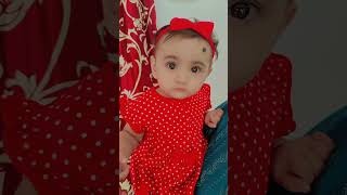 Pyari si gudiya song lyrics beti babygirl babyshorts pyarigudiya [upl. by Dyche513]