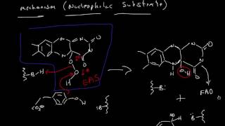 Flavin Dependent Monooxygenation with External Reducing Agent [upl. by Arekahs]