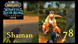 WoW Classic WotLK Shaman 78  Clever Girls [upl. by Enellij]