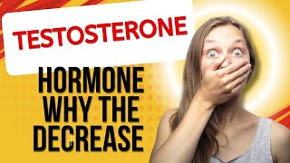 What is testosteroneWhy does the testosterone hormone decrease what should I do if I need more [upl. by Suneya725]