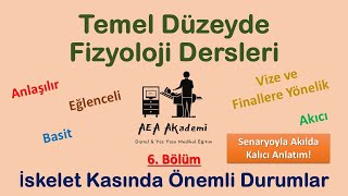 Temel Fizyoloji Dersleri Kas Fizyolojisi  Optimal Uzunluk Tetani Yorgunluk Kasılma Tipleri [upl. by Yesrej]