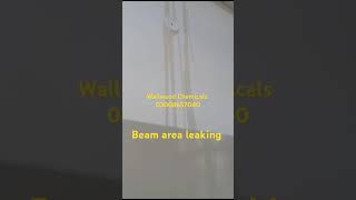 Beam area leaking symptoms  Building joints leakage symptoms  03008657040 [upl. by Anatak]