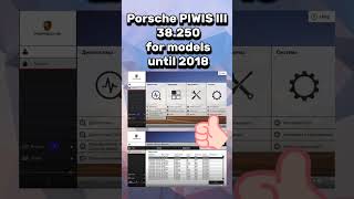 PORSCHE PIWIS WHICH VERSION SHOULD I CHOOSE [upl. by Launcelot]