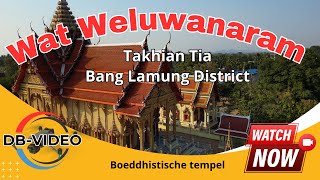 4K 🇹🇭 Wat Weluwanaram Takhian Tia  Boeddhistische tempel  2024 [upl. by Constantina245]