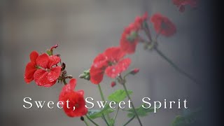 262 SDA Hymn  Sweet Sweet Spirit Singing w Lyrics [upl. by Sherri]