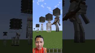 Minecraft Skeleton see Whos Stronger minecraft gaming shorts minecraftgameplay [upl. by Nylekcaj]