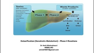 Biodegradation and bioremediation [upl. by Adnic]