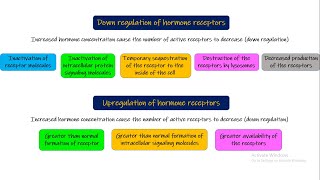 Location of hormone receptors Down regulation Up regulation of receptors Chapter 75 part5 Guyton [upl. by Lyons]