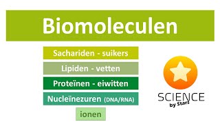 Biomoleculen Ionen sachariden lipiden proteïnen en nucleïnezuren [upl. by Annayhs824]