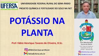 POTÁSSIO NA PLANTA Transporte na solução do solo principais funções e sintomas de deficiência [upl. by Clementi]