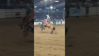 Black Rodeo USA in Scottsdale Arizona Horse was 17Mandalay Bay 74 points for 1st place [upl. by Ariec]