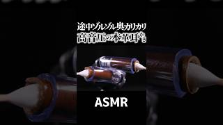 【ASMR】本革の耳穴をズボズボしながら奥の鼓膜をカリカリのする👂バックスキンとスケルトンチューブで高音圧が気持ちイイ耳かきの音♪竹耳かき・ジャンボ綿棒・マスカラブラシ使用🤤睡眠導入😪 Shorts [upl. by Alyl790]