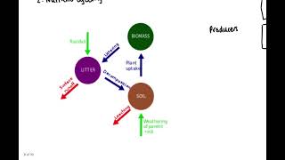 GCSE  Epping Forest  AQA [upl. by Panaggio]