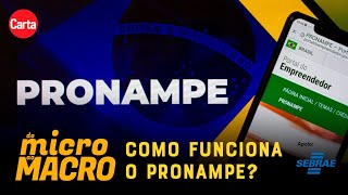 ENTENDA O PRONAMPE EMPRÉSTIMOS A JUROS MENORES PARA MICROEMPREENDEDORES  Do Micro Ao Macro [upl. by Aital]