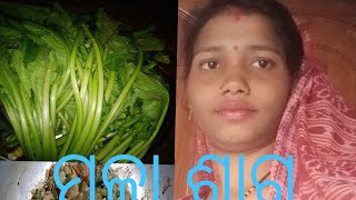 ମୂଳ ଶାଗ  sorisa bata mula saga recipe odia ।।mamita odia vlog।। [upl. by Gaynor]