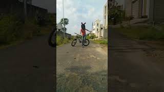 Cycle transversion 😈shortsviral youtubeshorts mountainbikestunt mountaincycle [upl. by Joashus]