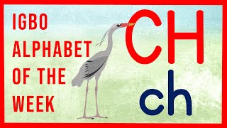 Learn the Igbo Alphabet  Letter of the week  CH  Igbo Language for Children  Abidii Igbo [upl. by Auod]