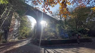 Brampton Gelt Woods and Talkin Tarn in AutumnFall with Interesting Walks NE 76 miles [upl. by Storm]