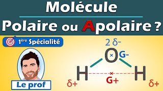 POLAIRE ou APOLAIRE  💡 méthodologie  molécule deau H20  1ère spé  Physique Chimie  Lycée [upl. by Cassell]