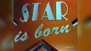 A Star is Born  RTL4  Ron Brandsteder  Musical  Talentenjacht Finale  01061995 [upl. by Lahsiv200]