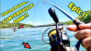 A Deadly FISHING BAIT that CATCHES FISH on the TENNESSEE RIVER [upl. by Norward]