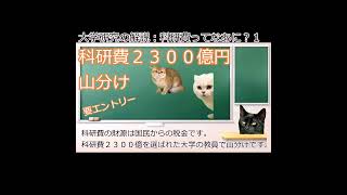 大学研究の解説 科研費ってなあに？１shorts 猫ミーム 猫マニ [upl. by Adnoel]