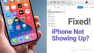 iPhone Not Showing Up in iTunes Here is the Fix 6 Ways [upl. by Eidaj]