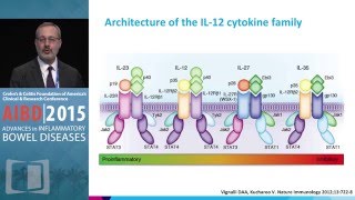 New Biologic Therapies that Target the IL1223 Pathway [upl. by Thevenot]