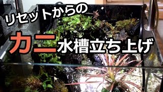 ココナッツドームのカニの隠れ家！？カニ水槽リセットpart3 [upl. by Kessiah]