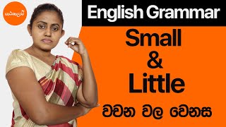 Difference between  Small  amp  Little  English Grammar in Sinhala  Patashalawa [upl. by Ardaid]