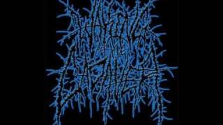 Waking The Cadaver  03  Raped Pillaged And Gutted Lyrics [upl. by Hitt]