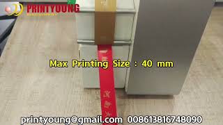 AMD320 Windows System Digital Ribbon Hot Foil Stamping Printing Machine [upl. by Pickering]