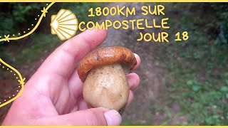 1800km sur compostelle jour 18 Orthez Saint Palais 36km voiedevezelay [upl. by Annetta]