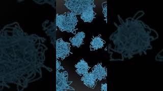 Chromosomes keep DNA organized and tidy genes cell histones mitosis science animation [upl. by Sergias]