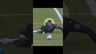 Incredible goalkeeper mistakes [upl. by Allanson196]