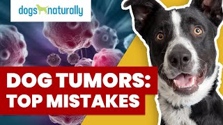 How To Tell If Your Dogs Lump Is Cancer [upl. by Morrie203]