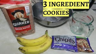 BANANA OATMEAL BREAKFAST COOKIES  3 INGREDIENTS  VLOGMAS DAY 16 [upl. by Eneryc635]