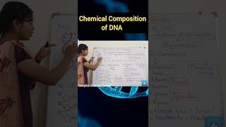 Chemical Composition of DNA deepikasciencecorner chemicalcompositionofdna biologyclass [upl. by Sand943]