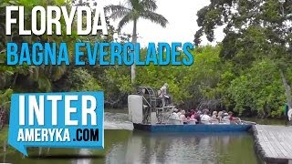 Floryda Everglades rejs łodzią AirBoat po Bagnach [upl. by Latton]