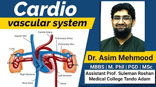 Cardio  Vascular System Made Easy  Hindi  Urdu [upl. by Nyvek]