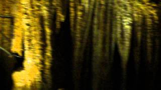 Luray Caverns quotMusicquot  STALACPIPE ORGAN [upl. by Tabby584]