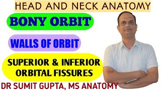 BONY ORBIT  BONES OF THE ORBIT  Boundaries  Fissures and foramina [upl. by Aicener]