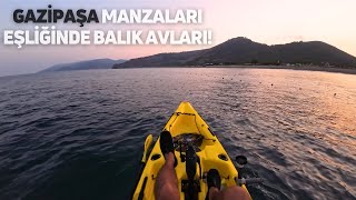 Melanur Lambuka ve Sayısız Kuzu Palazları  SEAFLO MAKO 12 İLE BALIK AVI [upl. by Elehcor462]