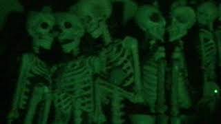 Stock Footage 2019 Skeletons Hanging [upl. by Ococ]