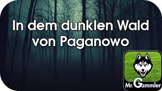 In dem dunklen Wald von Paganowo Instrumental [upl. by Enelime]