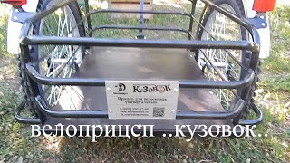 купил велоприцеп КУЗОВОК bought a bike trailer [upl. by Cathey]