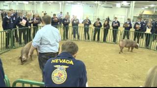 About FFA Career Development Events  National FFA Convention amp Expo [upl. by Yelad]