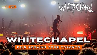 Whitechapel  The Saw Is The Law  Pain Remains Tour Live In Toronto 2024 [upl. by Ahsitam]