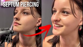 Septum nose piercing for this beauty ⚡️ undergroundbodypiercing septum nosepiercing [upl. by Mellicent]